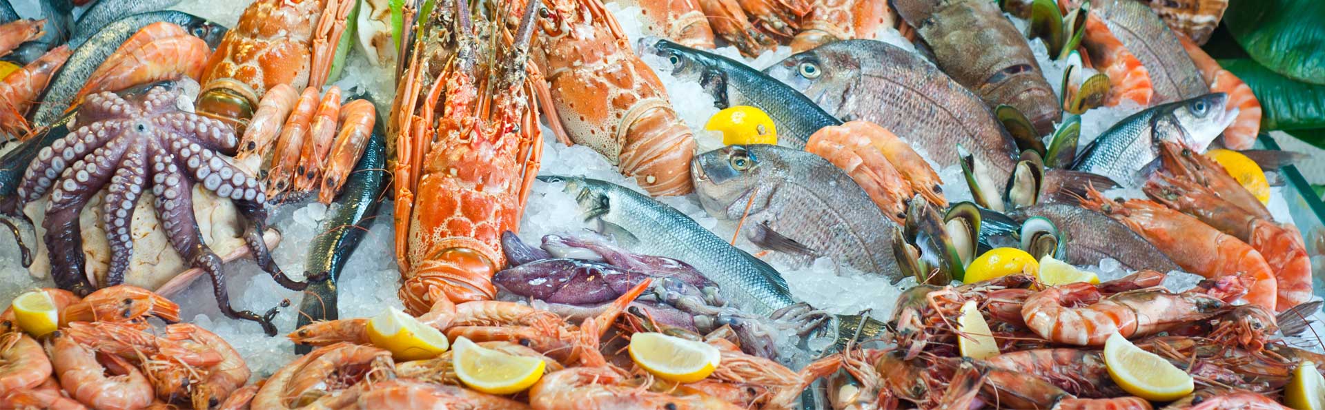 Sari Laut di Singapura